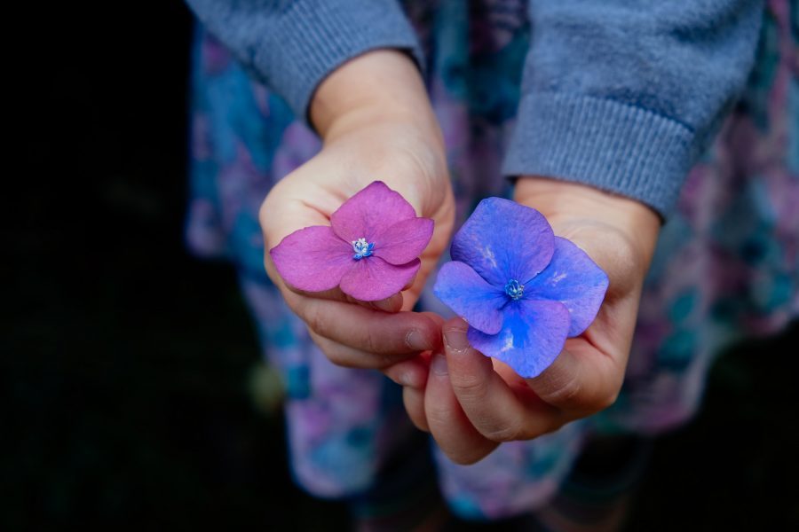 annie-spratt-czDFz3D7F20-unsplash-q802a5dydjlxnkaet944tt3ymj7dxdl0l82symctww